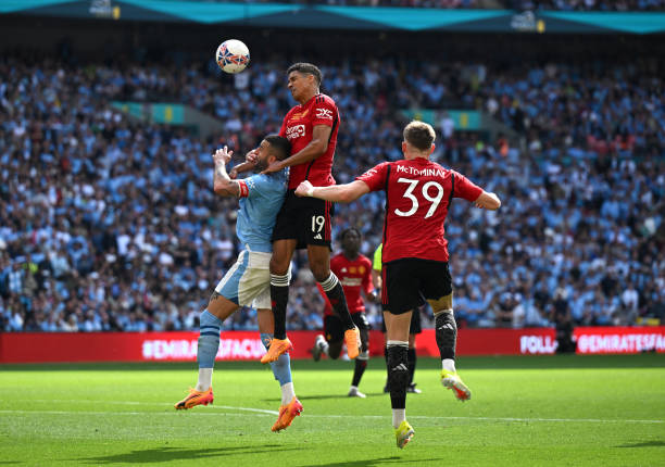 在球场上 在球场上